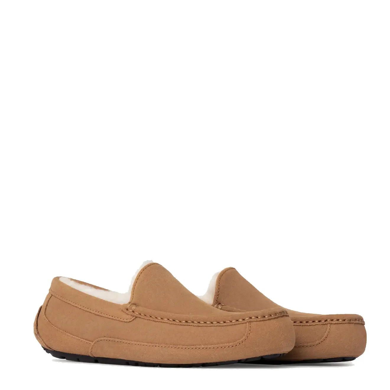 UGG Ascot Slipper Chestnut