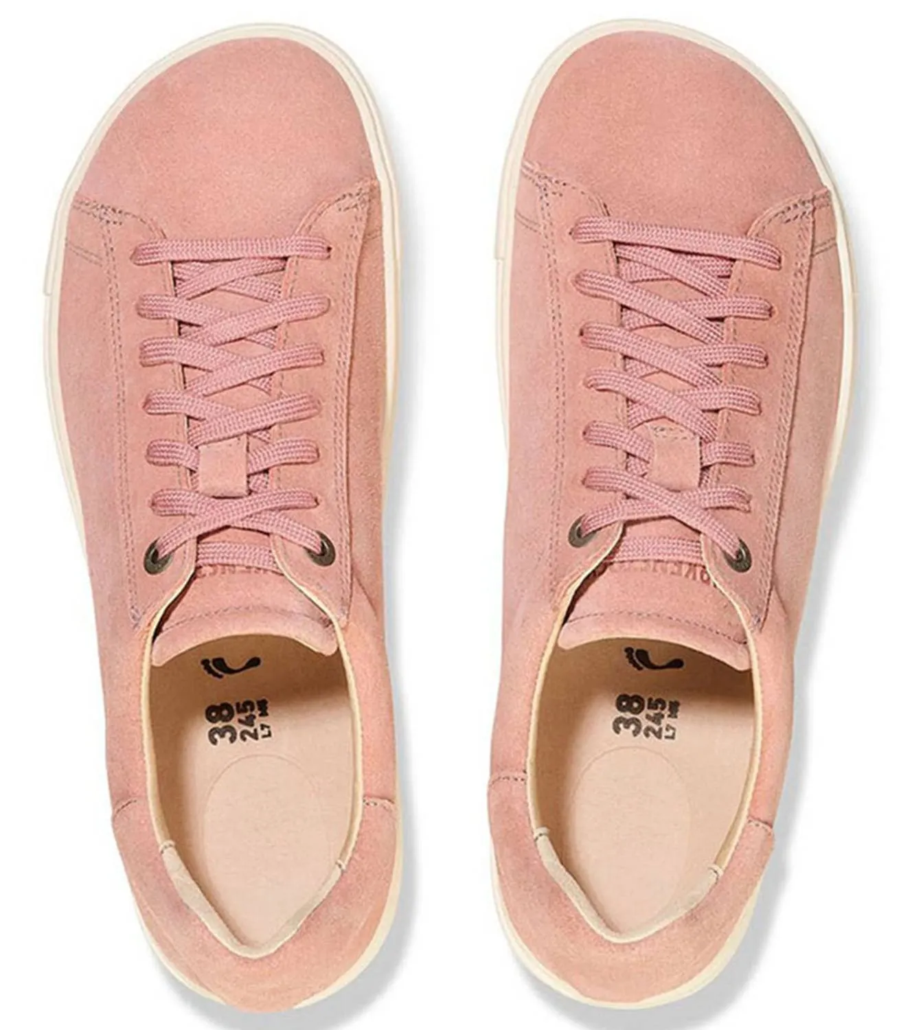 Women's Bend Low Canvas Sneaker In Pink Clay
